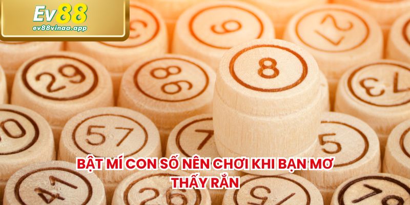 Bật mí con số nên chơi khi bạn mơ thấy rắn