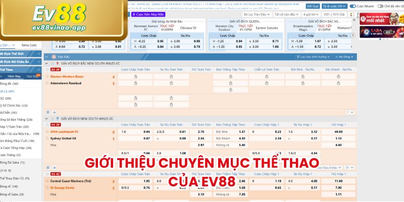 Giới thiệu chuyên mục thể thao của EV88