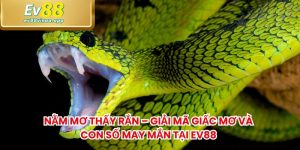 Nằm Mơ Thấy Rắn – Giải Mã Giấc Mơ Và Con Số May Mắn Tại EV88