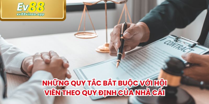 Những quy tắc bắt buộc với hội viên theo quy định của nhà cái
