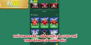 Thể Thao EV88 – Sân Chơi Cá Cược Thể Thao Đẳng Cấp Hàng Đầu